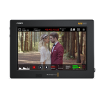 Blackmagic Video Assist 7" 12G	